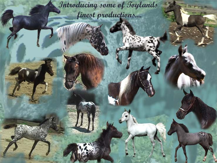 Photo Collage of Falabella Miniature Horses
